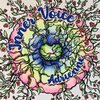 Adrienne - Burn It To The Ground