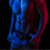 The Gym Allstars、Gym Motivation Work Out、Mister Gym - True Happines Loves Life