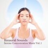 Concentration、Binaural State、Concentration Help《Theta Waves Hypnosis》[MP3/LRC]