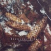 Traveling Sounds - Bubbling Water