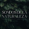 Mantra para Meditar、Meditación Con Ruido Blanco、Siente El Clima - Para Meditar Todo El Día