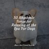 Music for Leaving Dogs Home Alone、Music for Dog's Ears、Relaxing Music for Dogs - Starting Today