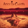 Alice In Chains《Them Bones (2022 Remaster)》[MP3/LRC]