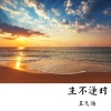 王无悔 - 生不逢时