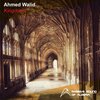 Ahmed Walid - Kingdoms (Original Mix)