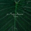 Sons da Natureza & Relaxamento、Yoga Music、Sleep Music System - Stream, Water, Close
