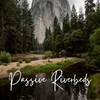 Relaxation Sleep Meditation、Easy Sunday Listening、Outside HD Samples - Lethargic Outpours