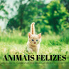 1 Hora de Meditação、Ruído branco、Pensamento Positivo - Matthew, O Gato E Luis, O Cachorro