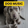 Sleepy Dogs、Cat Music、Dog Music - Mood Flow