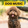 Sleepy Dogs、Cat Music、Dog Music - Soft Dog Music