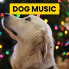 Sleepy Dogs、Cat Music、Dog Music - Jazz Quartet Soundtrack for Cats and Babies
