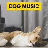 Sleepy Dogs、Cat Music、Dog Music - Soft Piano