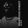 Dwele、Big Sean - Everything That's Missing (Explicit)