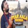 DS Narwaniya - Pyar Aala Dhokha