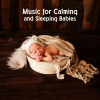 Soothing Baby Music Zone、Gentle Baby Lullabies World《Serene Childhood》[MP3/LRC]