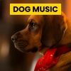 Music For Cats、Dog Music Club、Calming for Dogs - Vibe for Cats on Sunday