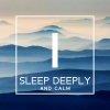 Deep Sleep Group、Baby Lullaby Zone、Restful Sleep Music Collection - Baby Sleep Music Box Lullaby