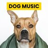 Music For Cats、Dog Music Club、Calming for Dogs - Peace Vibes with a City View