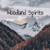 RELAXING《Woodland Spirits》[MP3/LRC]