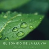 Mantra para Meditar、Musica para Dormir Momentos、Reina del Mar《Gotera De Las Nubes》[MP3/LRC]