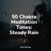 Rainfall For Sleep、Meditation Awareness、Regen《Light River, Bird Calls, Forest》[MP3/LRC]