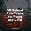 Meditation Music Club、Musica Para Dormir y Sonidos de la Naturaleza、Alpha Brain Waves - Tranquil Seas