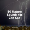 Binaural Beats Brainwave Entrainment、Namaste Yoga、Exam Study Classical Music - Creek, Pond, Water