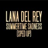 Lana Del Rey、Speed Radio《Summertime Sadness (Sped Up)》[MP3/LRC]