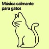 Música para gatos - Música calmante para gatos, Pt. 1