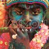 Jasmon - The Fog Is Lifting