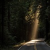Namaste Yoga、Ambientalism、Monarch Baby Lullaby Institute - Empty Thoughts