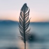 Sleep Sounds of Nature、White Noise Baby Sleep、Relaxation Music Guru - Petals of a Flower