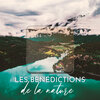 Calm Nature Oasis - Douceur de la pluie