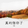 李鑫 - 想你容易见面难 (Demo)