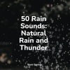 Rain Sounds & White Noise、Shakuhachi Sakano、Entspannungsmusik Meer - Forest, Busy, Animals