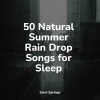 Sons da Natureza & Relaxamento、Sleep Recording Sounds、Reiki Tribe - Rainy Ambience