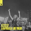 D.O.D、Raphaella - Like You Do