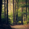 Yoga Sounds、Meditacao Clube、Massage Therapy Music - Strawberry Swing
