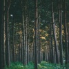 Natureza Musica Bem-Estar Academia、Entspannungsmusik、Alpha Brain Waves - Journey to Enlightenment