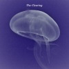 The Clearing - (If He Can't Love You) Who Will Take You Home?