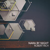 Robert Rich - Nara by Night (Rich Nara Mix)