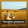 Zone de la Musique Relaxante - Musique Relaxation
