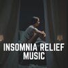 Insomnia Cure Maestro - A Chance to Dream