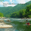 Yoga Workout Music、Music For Cats and Dogs、Cats Music Zone - Rapid Water Running