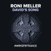 Roni Meller《David's Song (Extended Mix)》[MP3/LRC]