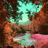 Edwng - Recovering