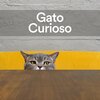 Music For Cats - Tea Eight
