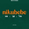 Lavido Music、Babaz Ent、Ali Babaz Entertainment、Sahil、Tricks - Nikubebe (feat. Lavido MusicSahil & Tricks)
