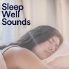 Baby Sleep Sounds《Developing Sleep Melodies, Pt. 19》[MP3/LRC]