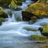 Songs for Dogs to Sleep To、Relaxing Sleep Music、Earth Melody - Silent River